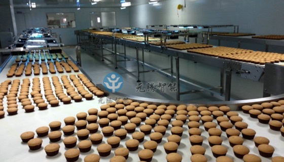 蛋撻輸送線(xiàn)